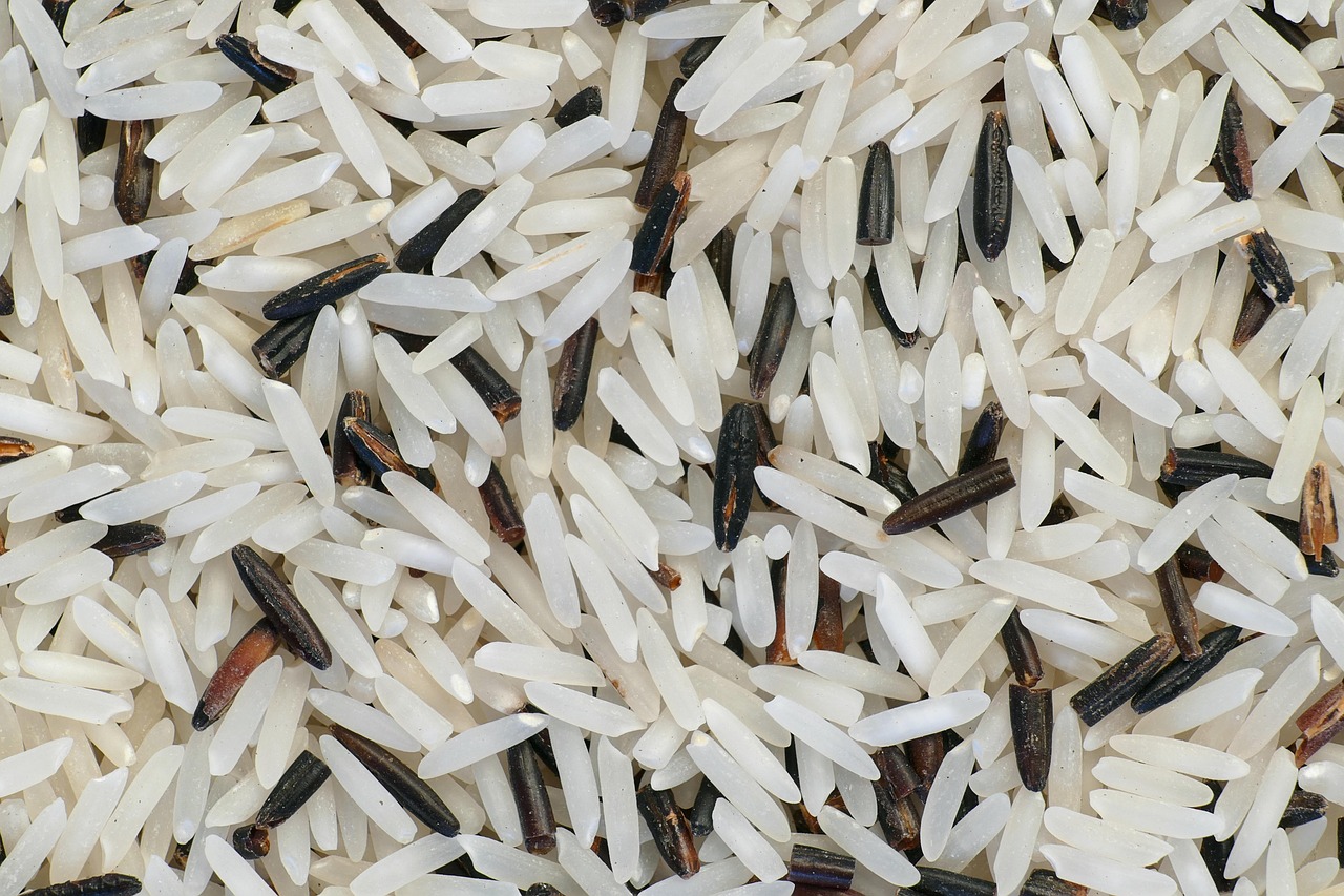 Premium Basmati Rice